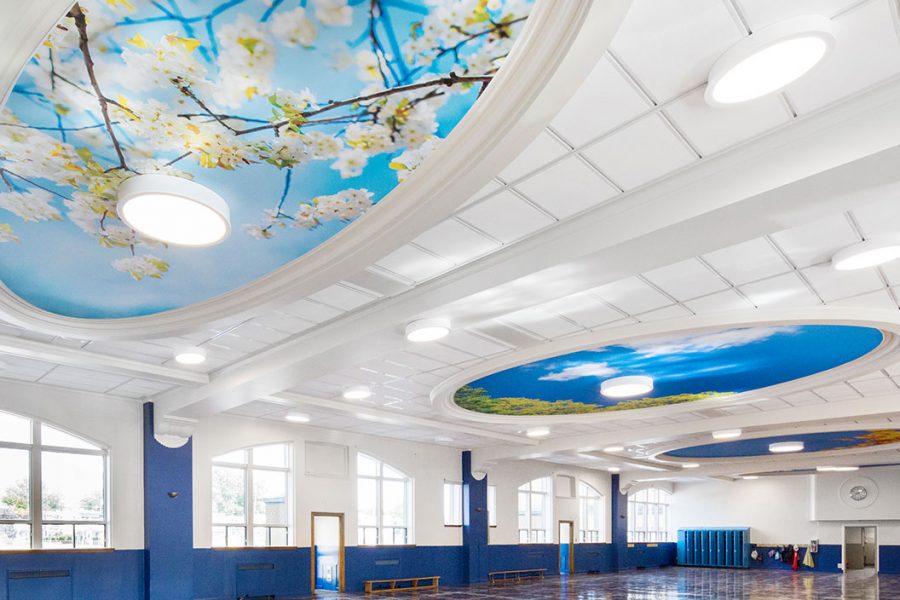 acoustic panel ceiling