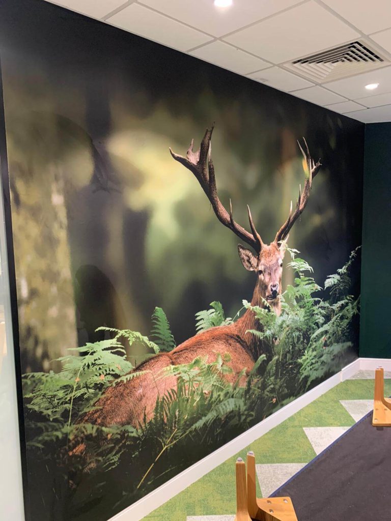 one piece wall graphics stag
